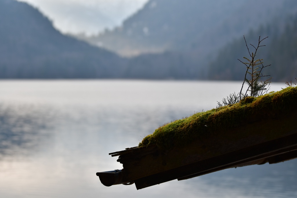 2018-12-29 Hohenschwangau/DSC_8733.JPG